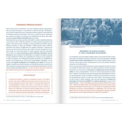 Manuel d’apiculture douce - Abeilles mellifères - Le pari du réensauvagement et respecter les abeilles Manuel d’apiculture douce - Abeilles mellifères - Le pari du réensauvagement et respecter les abeilles