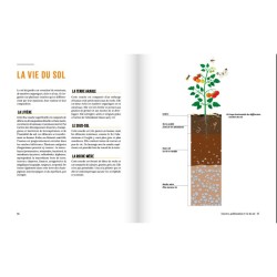 A la rencontre des insectes du potager - Et autres petites bestioles