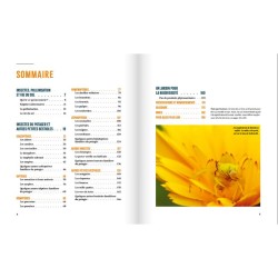 A la rencontre des insectes du potager - Et autres petites bestioles