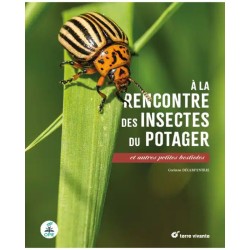 A la rencontre des insectes du potager - Et autres petites bestioles
