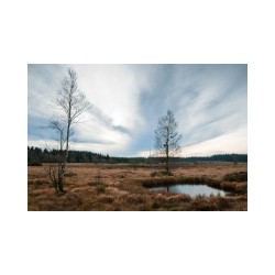 GRP 573 - Tour de la vallée de la Vesdre et des Hautes Fagnes