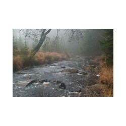 GRP 573 - Tour de la vallée de la Vesdre et des Hautes Fagnes