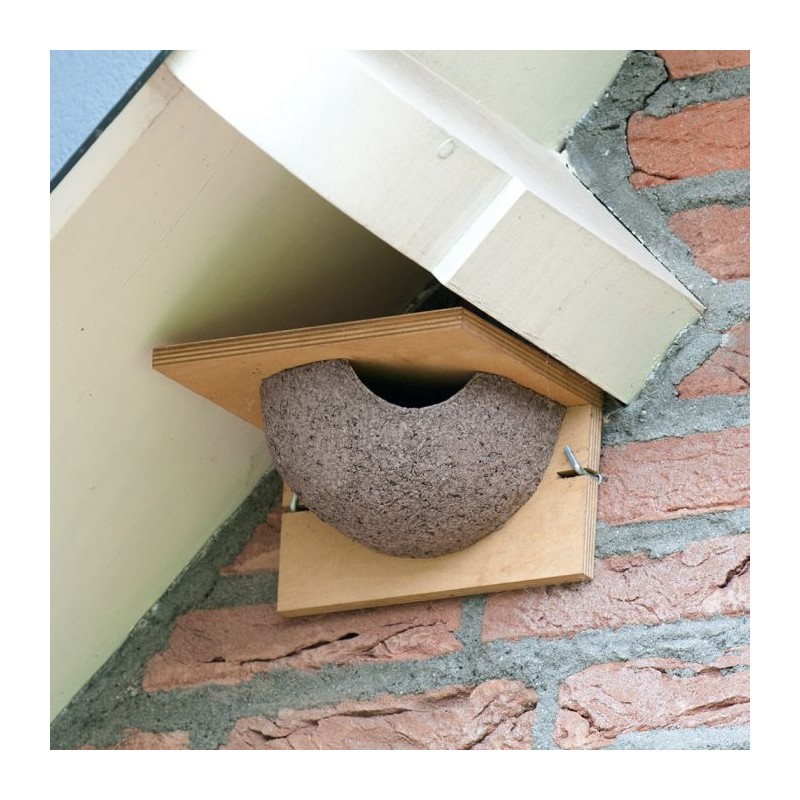 Nichoir pour hirondelles de fenêtre - Simple - Entrée droite - Bois/Béton de bois