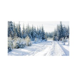 GRP 573 - Tour de la vallée de la Vesdre et des Hautes Fagnes