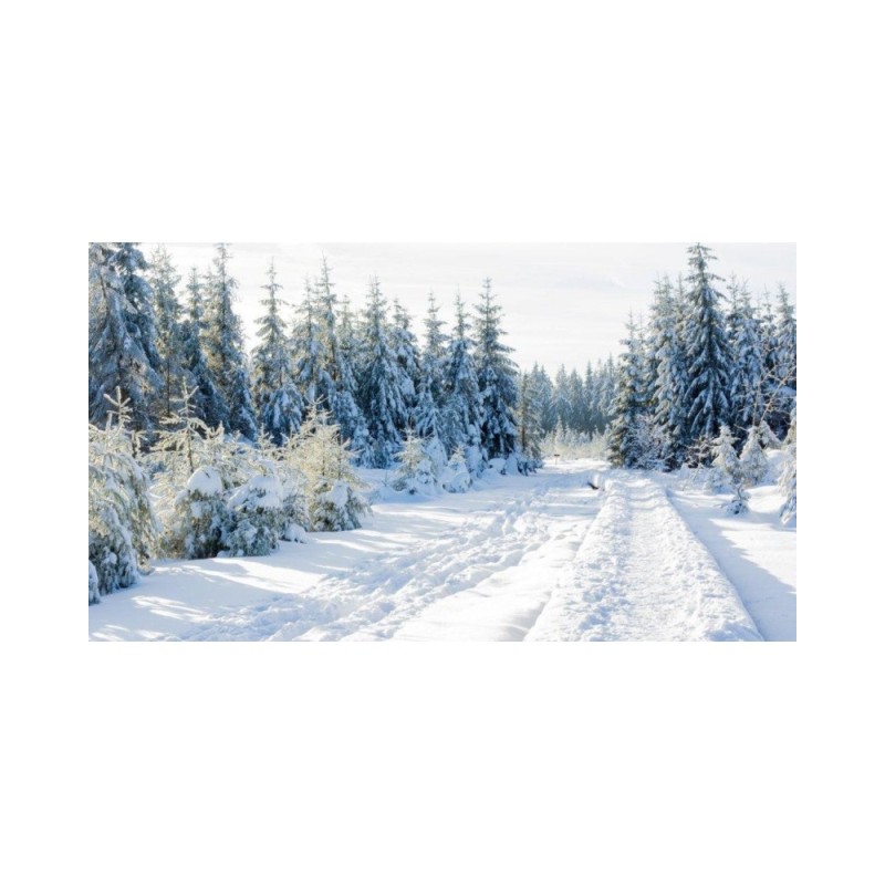 GRP 573 - Tour de la vallée de la Vesdre et des Hautes Fagnes