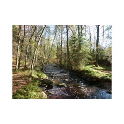 GRP 573 - Tour de la vallée de la Vesdre et des Hautes Fagnes