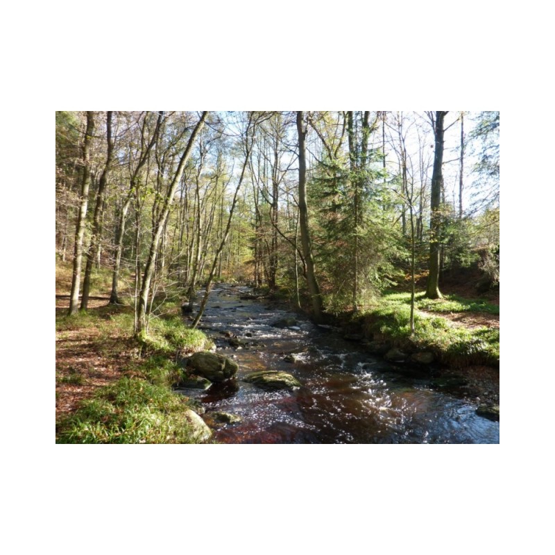 GRP 573 - Tour de la vallée de la Vesdre et des Hautes Fagnes