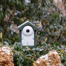 Nichoir Sevilla en béton de bois - Ø 32 mm - vert