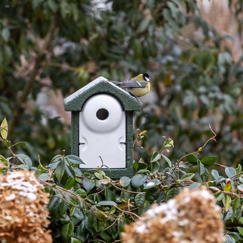 Nichoir Sevilla en béton de bois - Ø 32 mm - vert