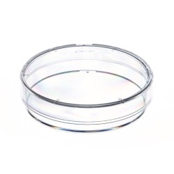 Boîtes de Petri avec ergots de ventilation - 35 x 10 mm - Non stériles - Lot de 10