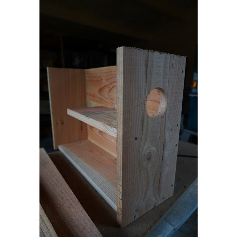 Nichoir pour Chouette chevêche d'Athéna 70mm - Bois