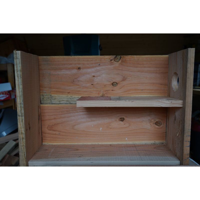 Nichoir pour Chouette chevêche d'Athéna 70mm - Tuyau courbé - Bois