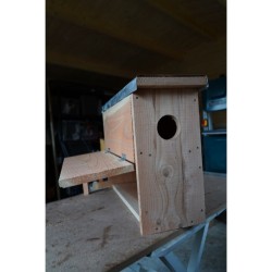 Nichoir pour Chouette chevêche d'Athéna 70mm - Bois