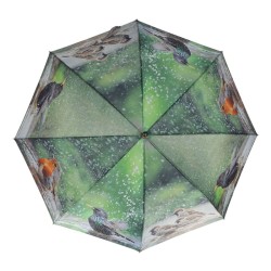 Parapluie Oiseaux baigneurs