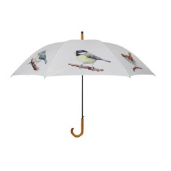 Parapluie oiseaux aquarelle