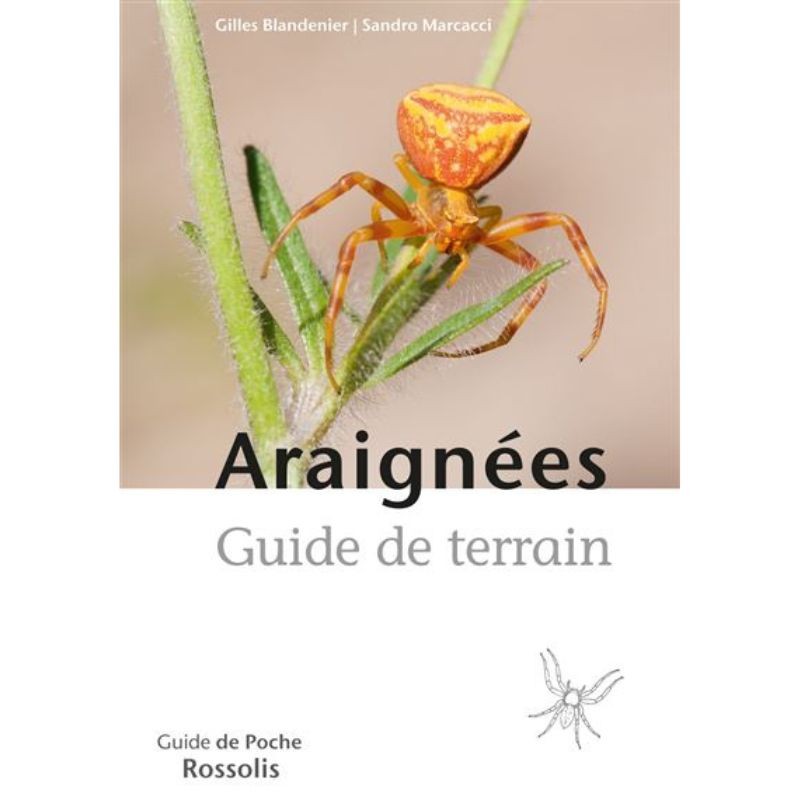 Araignées - Guide de terrain