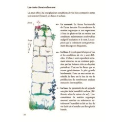 Des murs vivants - Les différents types de murs, leur intérêt pour la faune et la flore... Des murs vivants - Les différents types de murs, leur intérêt pour la faune et la flore...