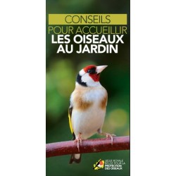 Flyer Conseils pour accueillir les oiseaux au jardin - Dépliant