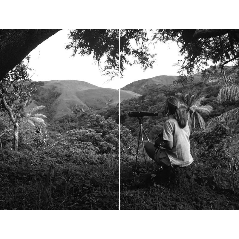 Le Livre de l'espoir - Jane Goodall Le Livre de l'espoir - Jane Goodall