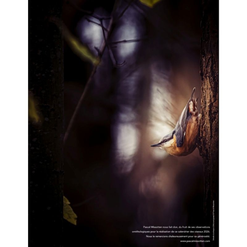 Calendrier des Oiseaux 2026 Calendrier des Oiseaux 2026