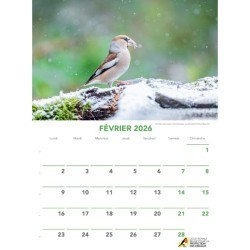 Calendrier des Oiseaux 2026 Calendrier des Oiseaux 2026