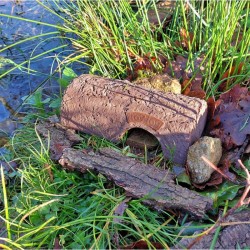 Abri à grenouilles et crapauds Froglog Abri à grenouilles et crapauds Froglog