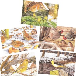 5 cartes de correspondance Série 1 - François Desbordes