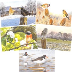 5 cartes de correspondance Série 3 - François Desbordes