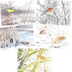 5 cartes de correspondance Série 2 - François Desbordes