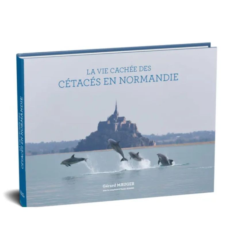 La vie cachée des cétacés en Normandie