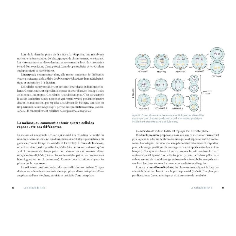 La Génétique (presque) facile - Tout savoir sur l'ADN