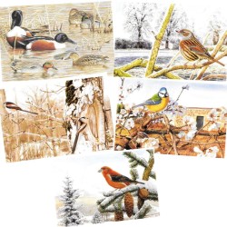 5 cartes de correspondance Série 5 - François Desbordes