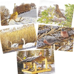 5 cartes de correspondance Série 6 - François Desbordes