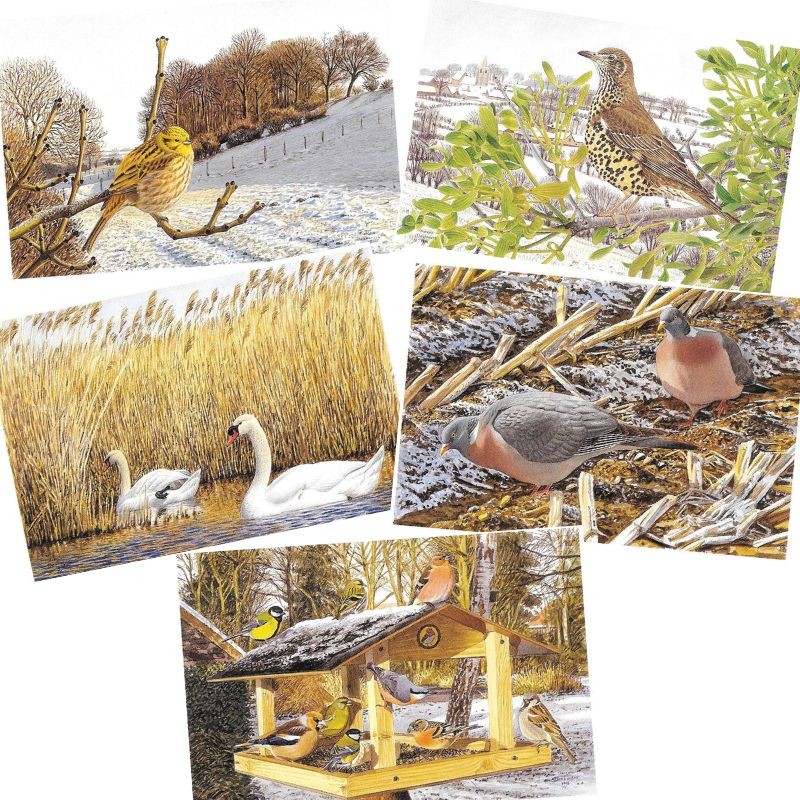 5 cartes de correspondance Série 6 - François Desbordes 5 cartes de correspondance Série 6 - François Desbordes