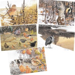 5 cartes de correspondance Série 7 - François Desbordes