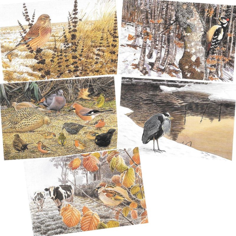 5 cartes de correspondance Série 7 - François Desbordes