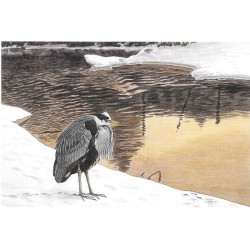 Héron cendré - Carte de correspondance - François Desbordes