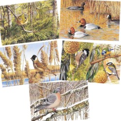 5 cartes de correspondance Série 8 - François Desbordes