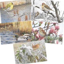 5 cartes de correspondance Série 9 - François Desbordes