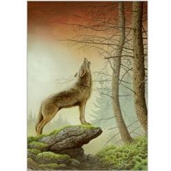 Loup - Carte de correspondance d'André Buzin