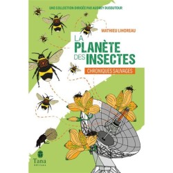 La Planète des insectes - Chroniques sauvages