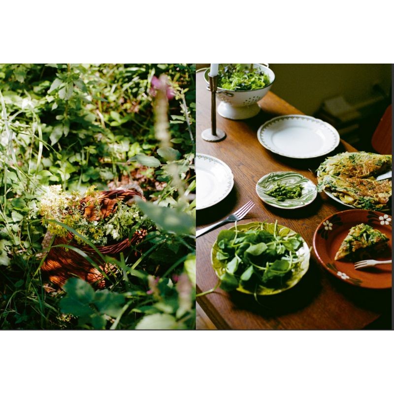 Cuisiner les plantes sauvages des chemins Cuisiner les plantes sauvages des chemins