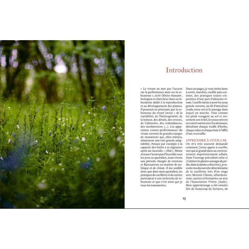 Cuisiner les plantes sauvages des chemins Cuisiner les plantes sauvages des chemins