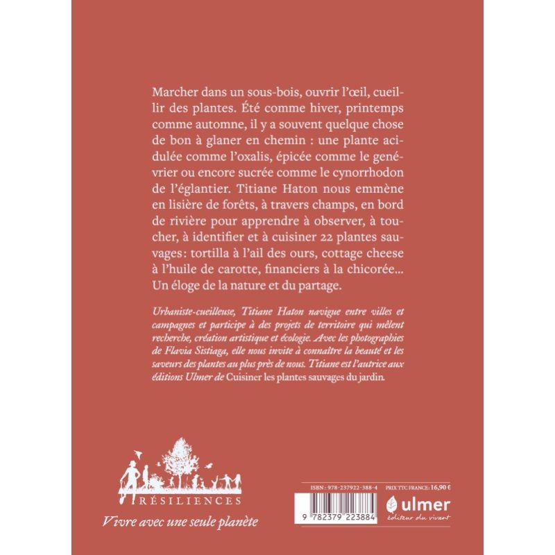 Cuisiner les plantes sauvages des chemins Cuisiner les plantes sauvages des chemins