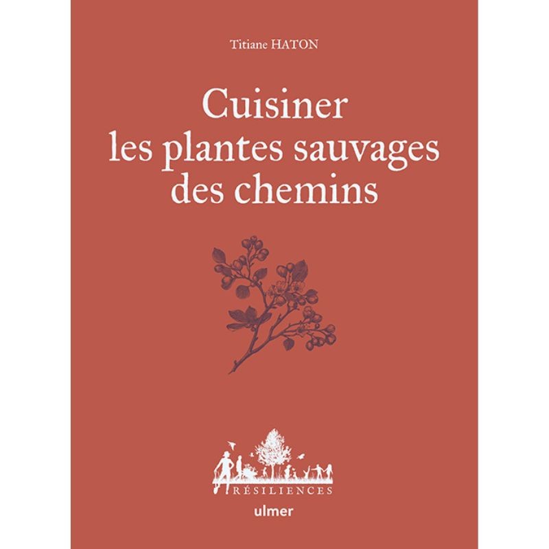 Cuisiner les plantes sauvages des chemins