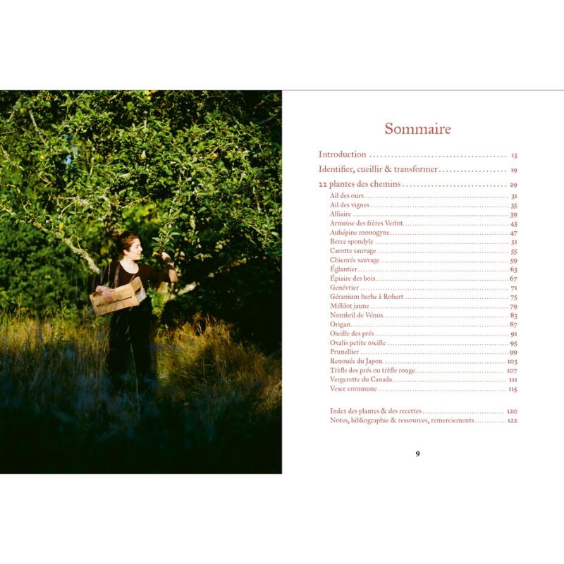 Cuisiner les plantes sauvages des chemins Cuisiner les plantes sauvages des chemins