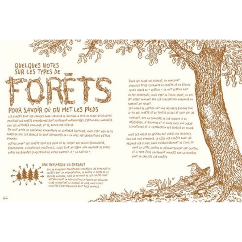 Vivre la forêt - Renouer avec le vivant Vivre la forêt - Renouer avec le vivant