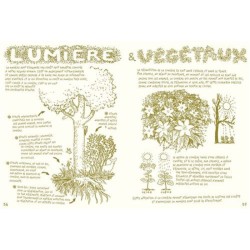 Vivre la forêt - Renouer avec le vivant Vivre la forêt - Renouer avec le vivant