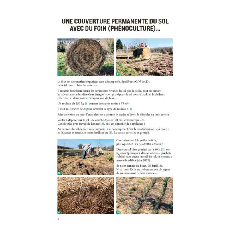 Le potager du Le potager du paresseux - Nouvelle Edition- Produire en abondance des légumes plus que bio (Nouvelle Edition) Le potager du Le potager du paresseux - Nouvelle Edition- Produire en abondance des légumes plus que bio (Nouvelle Edition)