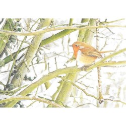 Rouge-gorge - Carte de correspondance - François Desbordes